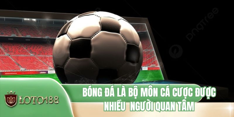 Bóng đá là bộ môn cá cược được nhiều người quan tâm